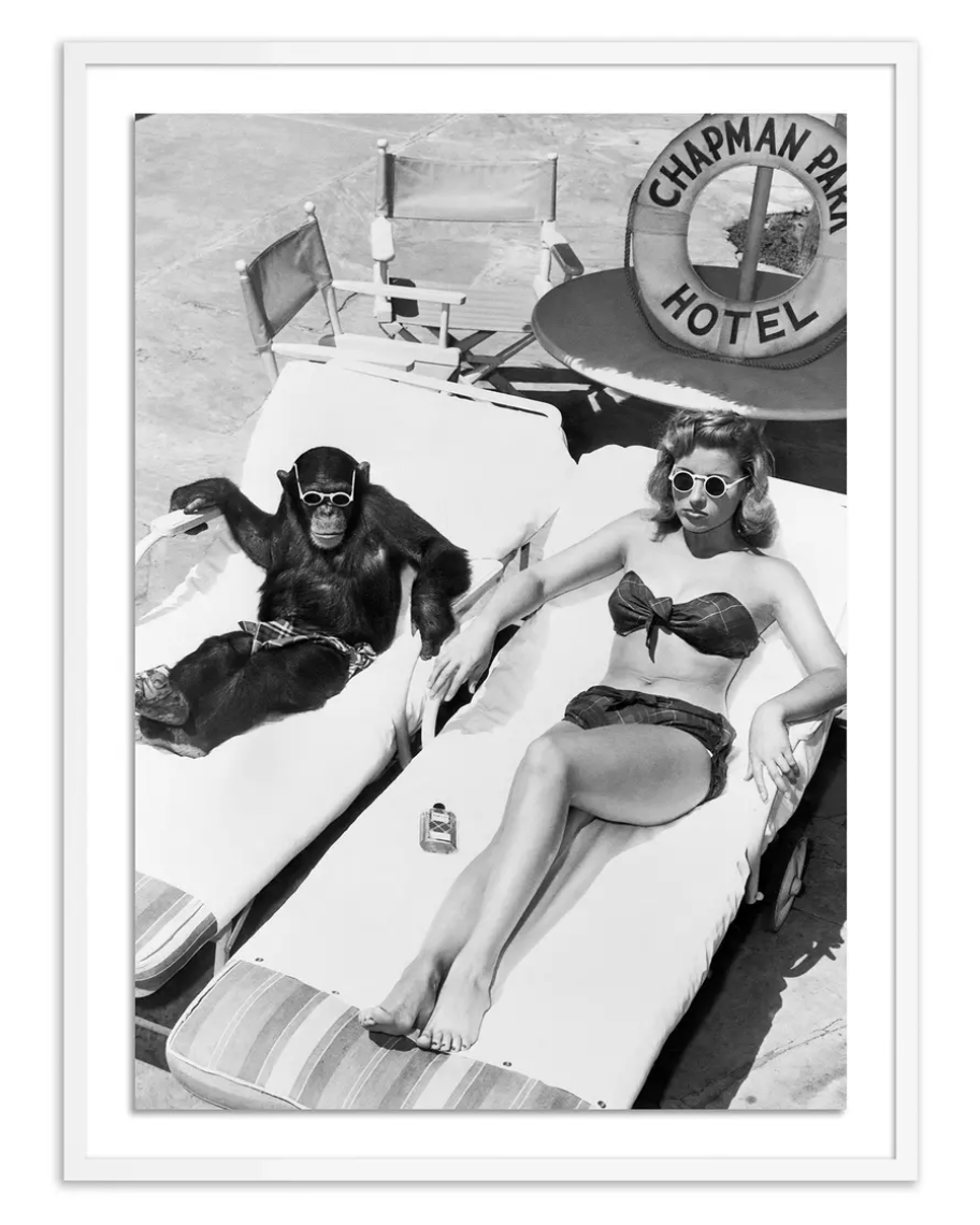 poolside chats 18 x 24