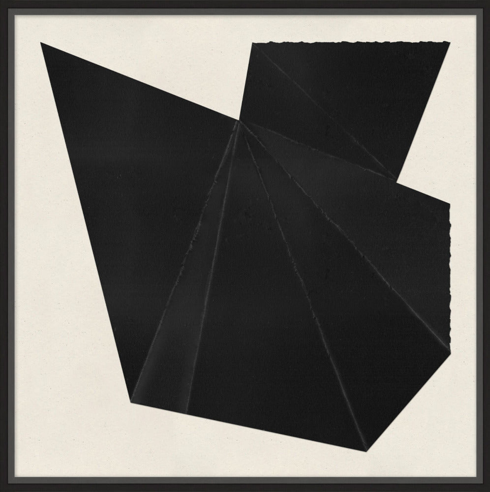 Black + White Abstract I