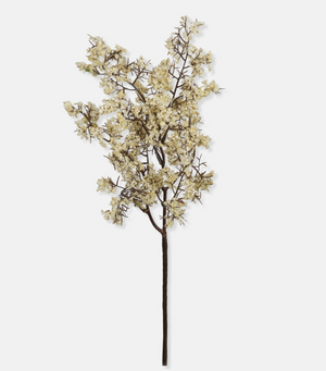 Winter Dew Bundle
