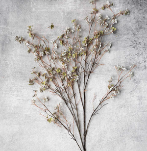 Blossom Branches, Sage