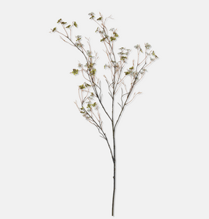 Blossom Branches, Sage