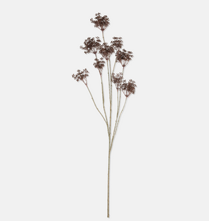 Merlot Yarrow Branches