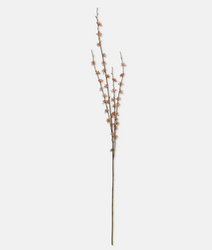 Succulent Branch, Mauve