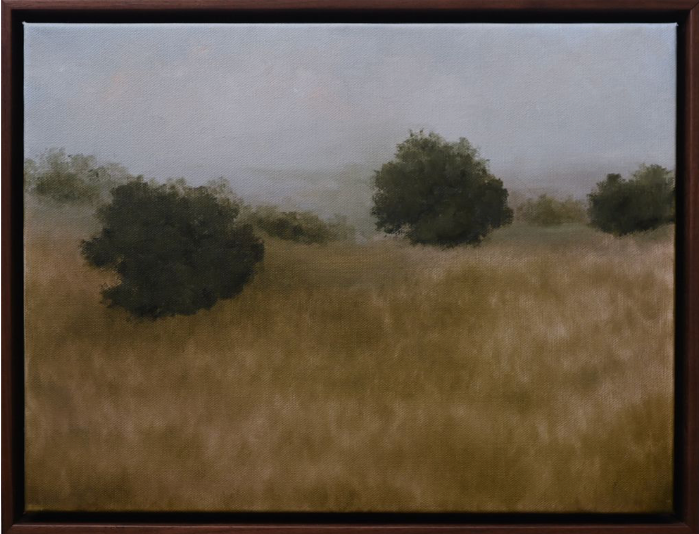 Fields of Gold by Renee Evans 11 x 14