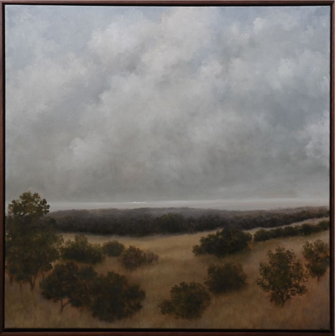 Wandering 24"  x 24”